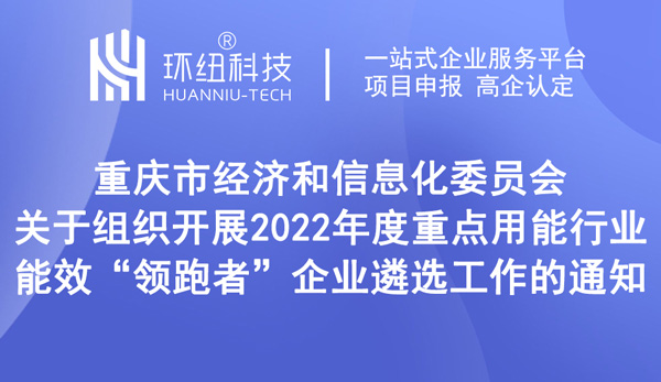 2022年度重點(diǎn)用能行業(yè)能效領(lǐng)跑者企業(yè)遴選工作