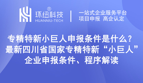 國家級專精特新小巨人企業(yè)申報(bào)