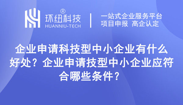 科技型企業(yè)認定