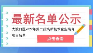 大渡口區(qū)2022年第二批高新技術(shù)企業(yè)培育項(xiàng)目名單