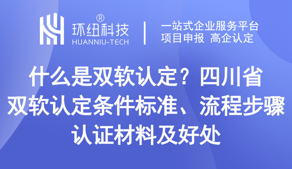 四川省雙軟認(rèn)定