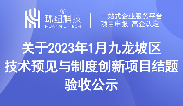 九龍坡區(qū)技術(shù)預(yù)見(jiàn)與制度創(chuàng)新項(xiàng)目結(jié)題驗(yàn)收公示