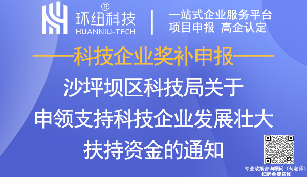 沙坪壩區(qū)科技企業(yè)扶持資金申領