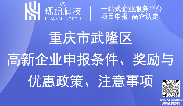 武隆區(qū)高新企業(yè)申報(bào)