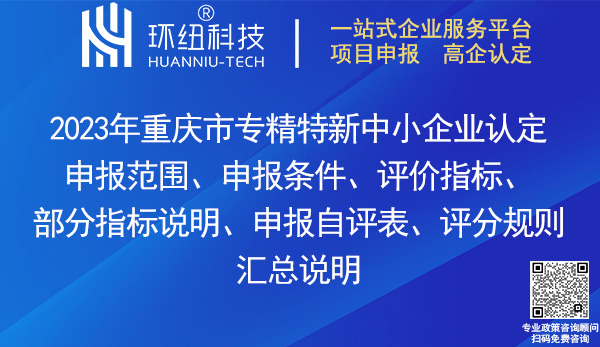 重慶市專精特新中小企業(yè)認定