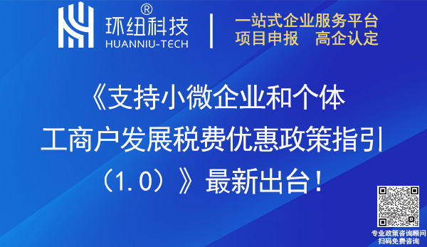 支持小微企業(yè)和個(gè)體工商戶發(fā)展稅費(fèi)優(yōu)惠政策指引(1.0)