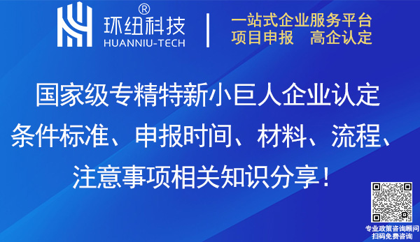 國家級專精特新小巨人企業(yè)認(rèn)定