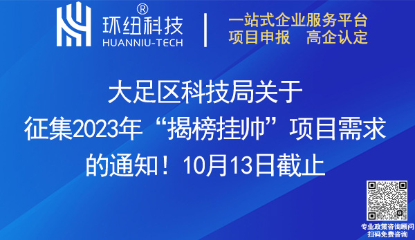 2023年揭榜掛帥項(xiàng)目申報(bào)