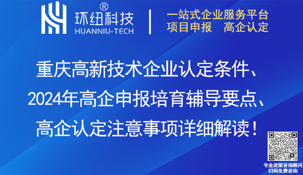 2024年高新技術(shù)企業(yè)培育